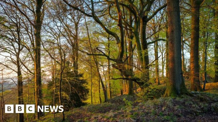 Sir David Attenborough inspires creation of nature recovery zones