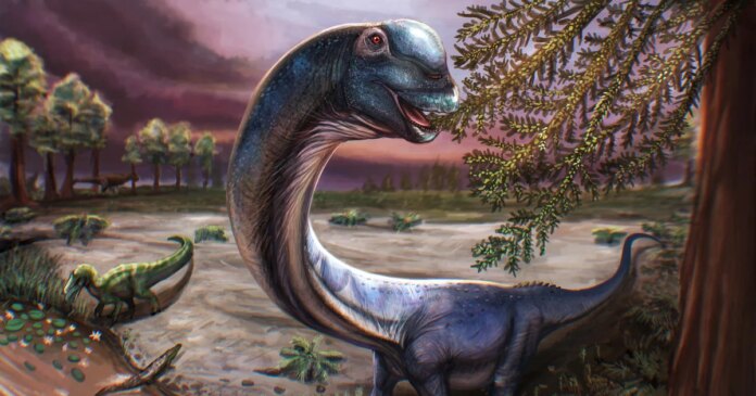 Skeletal remains of new dinosaur weighing as much as 9 elephants discovered by scientists: 