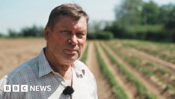Suffolk farmer fearful of son's future due to rising costs