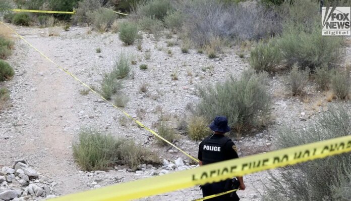 Tucson prehistoric human bones found near Nancy Guthrie site: Here's everything to know