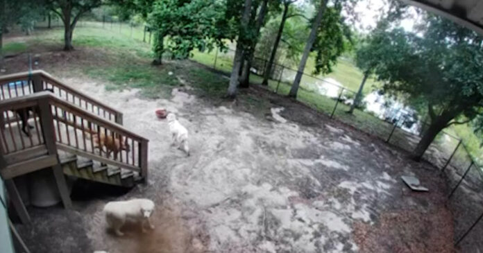 What Exactly Caused That Loud Boom in South Carolina?