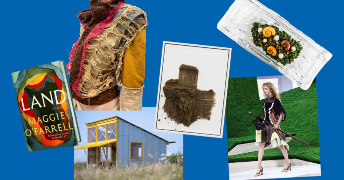 Why Is Everyone Obsessed With Bogs?