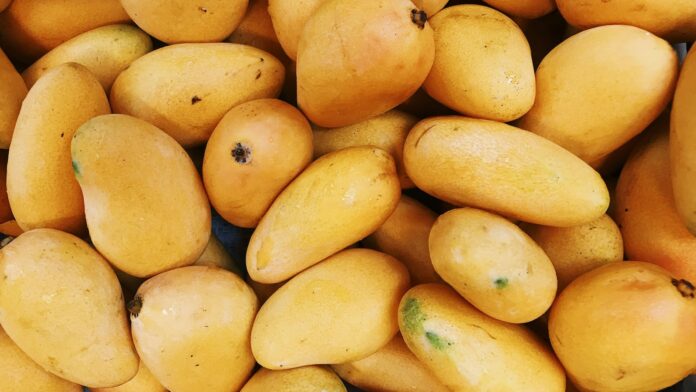 Why You Should Refrigerate Mangoes Only After They Ripen