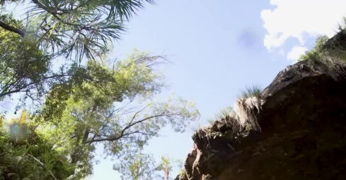 Wild Swimming and Stargazing in Madagascar’s Grand Canyon