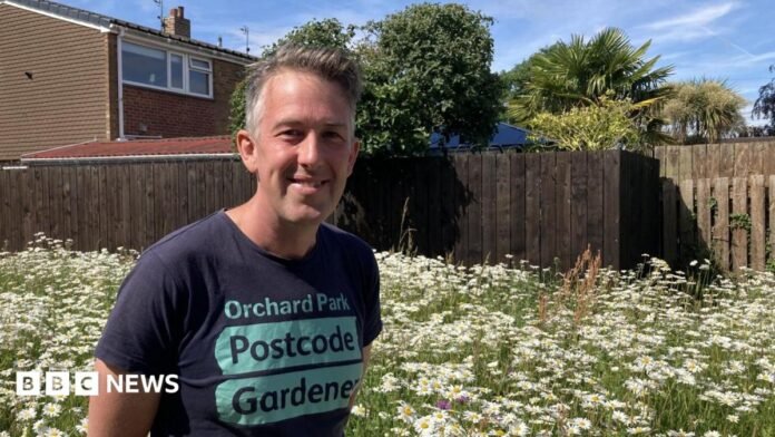 A man in a black T-shirt is smiling as he stands in front of a large patch of wild flowers - mostly ox-eye daisies - on a sunny day. Behind the patch is a brown wooden fence and the back of a house.