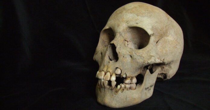 A Deadly Outbreak of Plague, Nearly 5,000 Years Before the Black Death