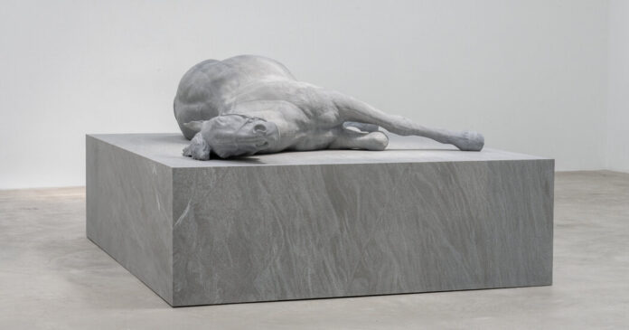 Art Gallery Shows to See in June