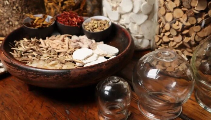 China, Pakistan deepen cooperation in traditional medicine