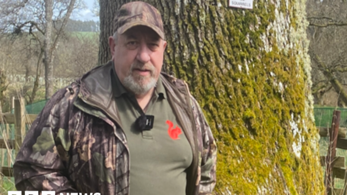 Coquetdale squirrel group to install 50 CCTV cameras to save reds