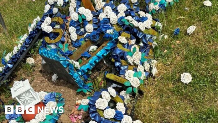 Ecologist calls for plastics ban in Kingston Cemetery