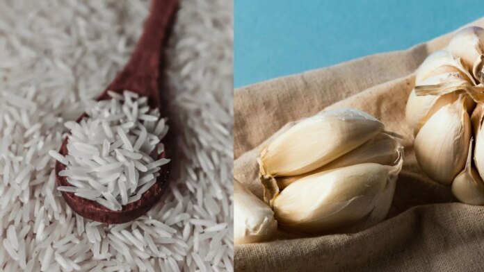 From Ratlami Sev To Kadaknath Chicken, 7 GI-Tagged Foods From Madhya Pradesh