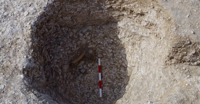 In Ancient Pits Near Stonehenge, Scientists See Hints of Solstice Ritual