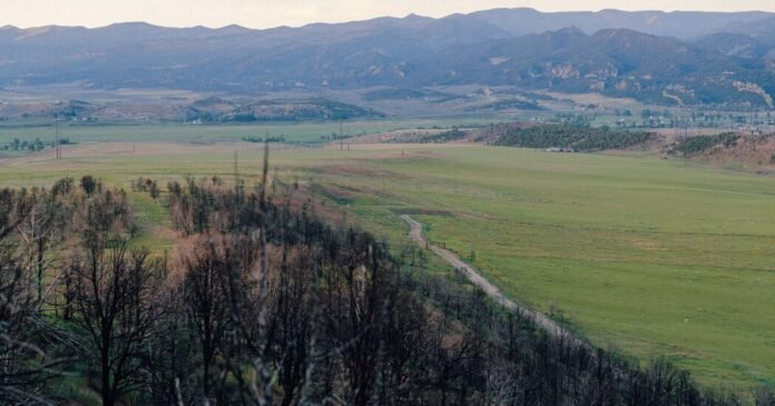 In Colorado, the Long Aftermath of a Fire Feels Political