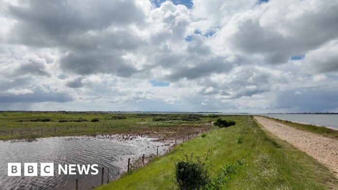 Nests and habitats destroyed as Farlington flood defences fail