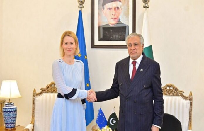 Pakistan helped avert full-blown US-Iran war, says EU top diplomat - SUCH TV