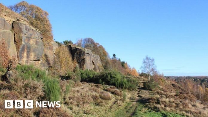 Plans to increase biodiversity set out by Bradford Council