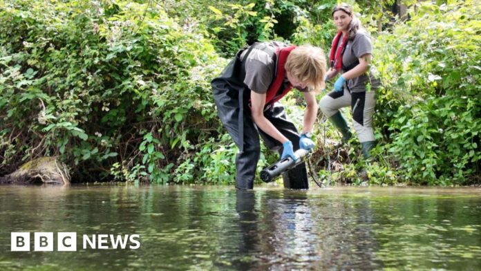 Pollution monitoring first for River Test chalk stream