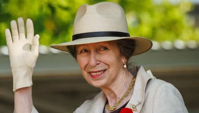 Princess Anne decides to leave UK before Prince Harry's visit
