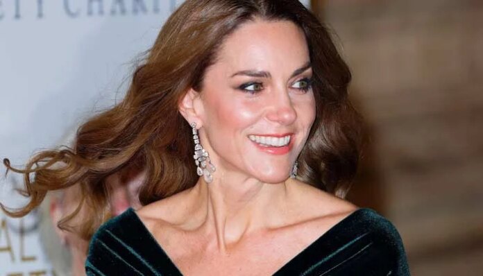 Princess Kate hailed as royal family's lifeblood: 'Keeping monarchy alive'