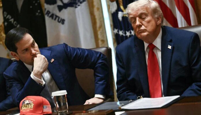 Rubio brushes off Trump mental acuity concerns as 'absurd'