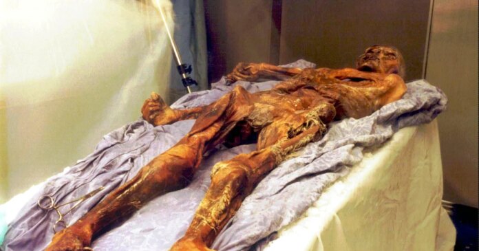 Scientists find yeast in frozen mummy's guts, use it to make sourdough bread