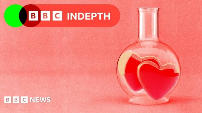 BBC InDepth