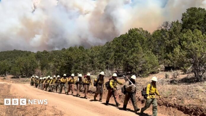 a line of firefighters walking along a dirt path in forest and smoke billows in background