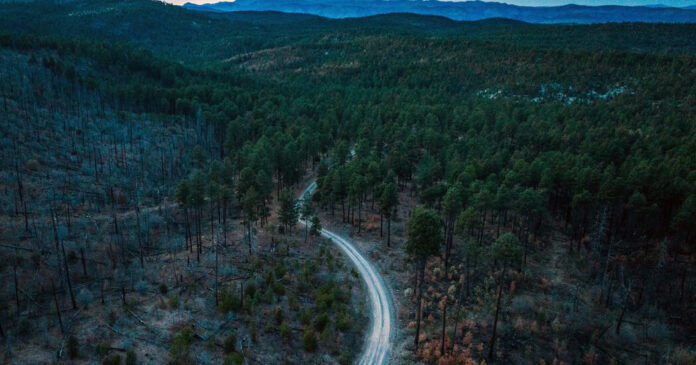 U.S. Forest Service to Open Millions of Acres to Off-Road Vehicles