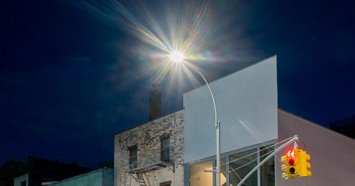 Urban Light Pollution Might Be Worsening Allergies