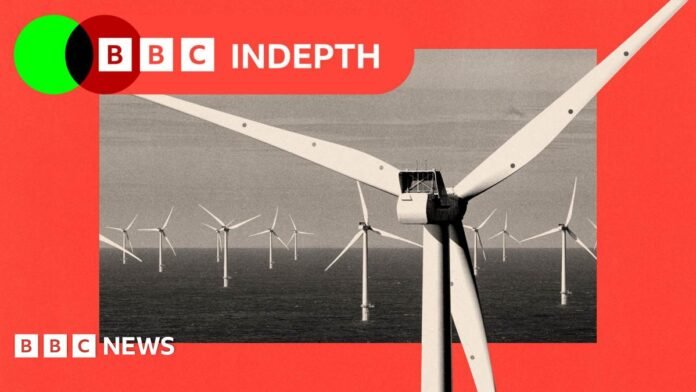 BBC InDepth