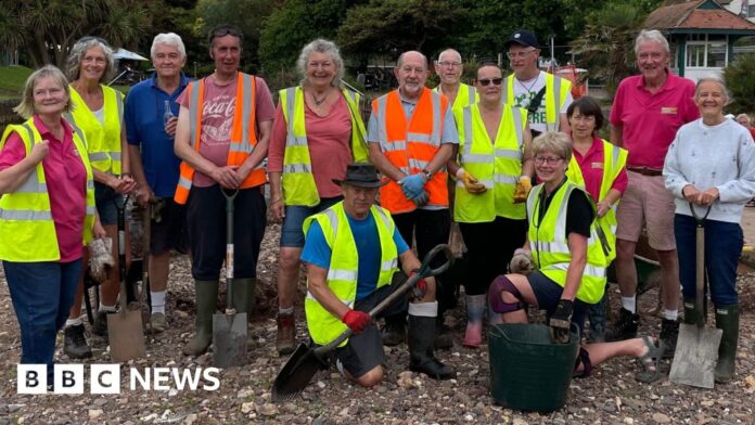 Work to return Dawlish brook to 'its absolute best' begins