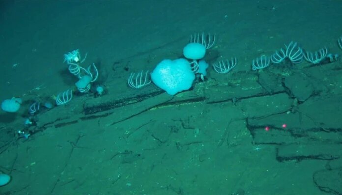 World's largest whale graveyard discovered by Chinese sub