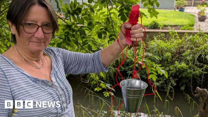 'Worryingly high' pollution in Cotswolds river, say volunteers