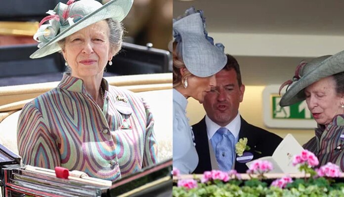 princess Anne drags entire family to royal proceedings in multicoloured outfit
