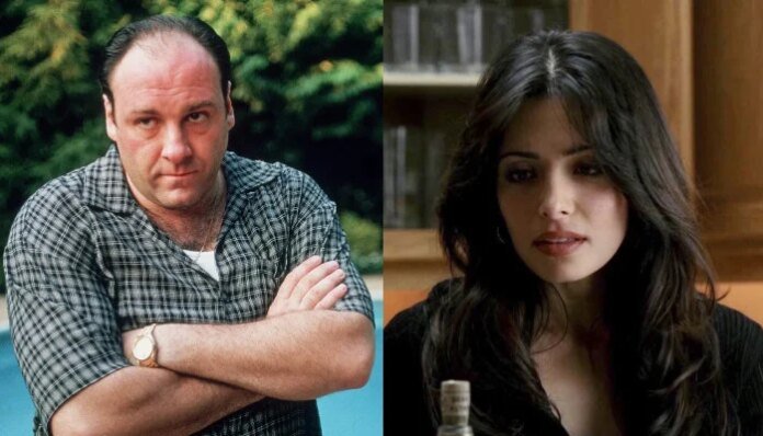 ‘Sopranos' star James Gandolfini's costar shares risqué experience with actor