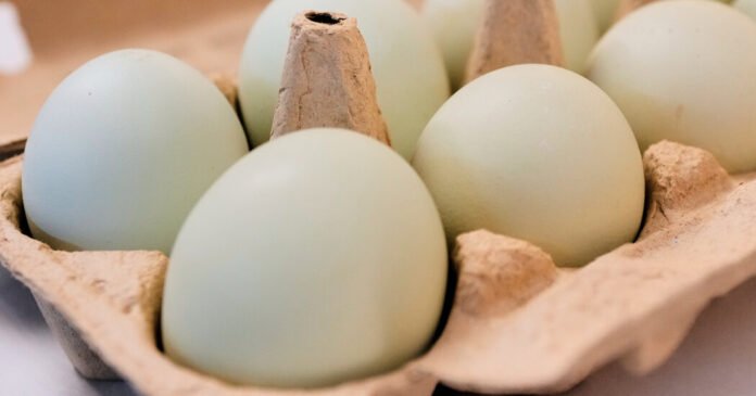 1.6 Million Egg Cartons Are Recalled Over Salmonella Risk