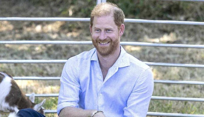 Britons give verdict on Prince Harry after one key engagement in UK
