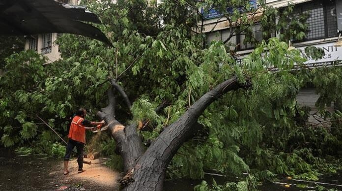 Building collapse kills six in Mumbai; torrential rain batters city
