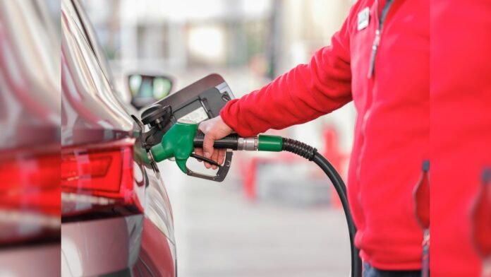 Can E20 Petrol Ruin Your Car's Engine? Govt Debunks 10 Viral Myths, Defends Ethanol Blending