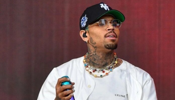  Chris Brown pays hefty compensation to housekeeper mauled by his dog