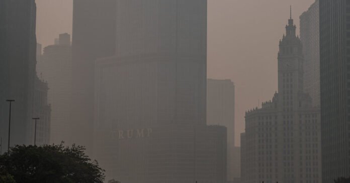 Climate Change Contributes to Rising Share of Wildfire Smoke Deaths