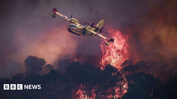 A small yellow airplane flies over red flames rising in smoke above dark trees. 