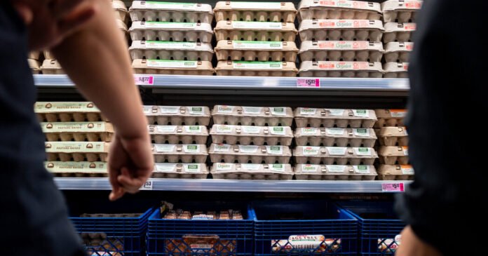 Egg Producers to Pay $3.3 Million to Settle Federal Price-Fixing Lawsuit