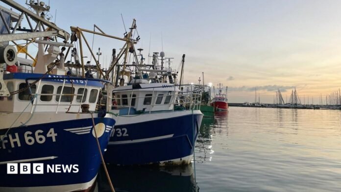 Blue and white fishing boats lined up on the left of the picture with identifying codes on them. The sea is to the right and the sun is just rising. Sailing boats can be seen in the distance.