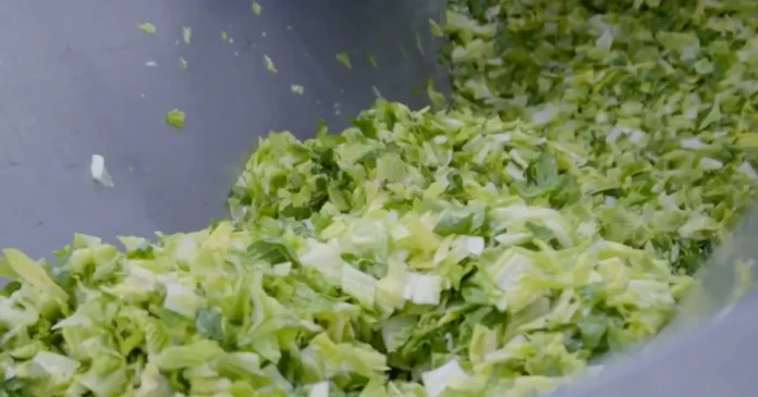 FDA says it's still investigating Taylor Farms for cyclospora after false positive