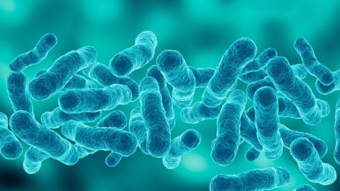 First death reported in Upper East Side Legionnaires' disease outbreak as cases rise to 67
