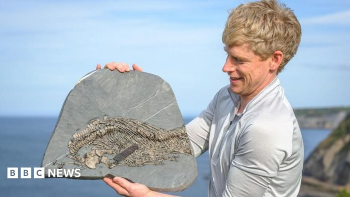 Matthew, a man with short blond hair in a grey shirt stands on a cliff holding a grey rock with a fossil vertebrate in it