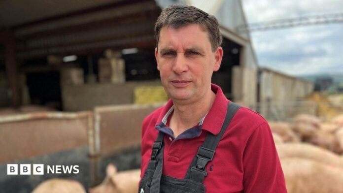Danny Skinner, wearing a red sweatshirt and dark blue dungarees, in from of his pigs.