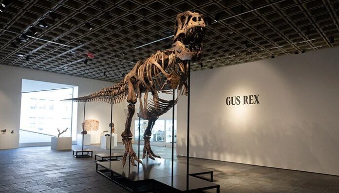 'Gus' the T rex fetches record $50.1m at US auction