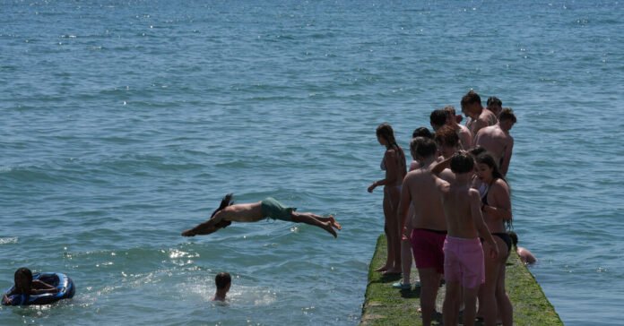 Hotter Seas in Britain and Europe Threaten Marine Life